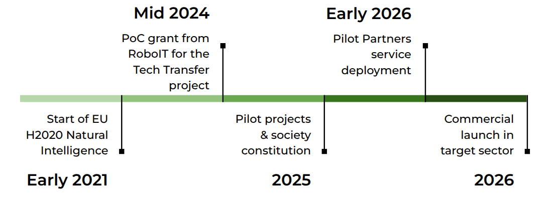 Timeline
